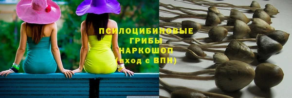МДПВ Лихославль