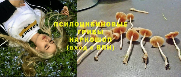 МДПВ Лихославль